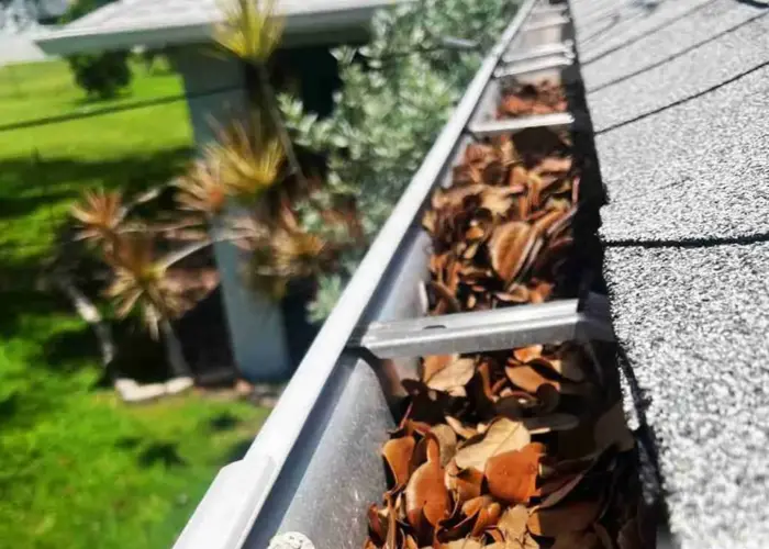 North Naples gutter cleaning home page